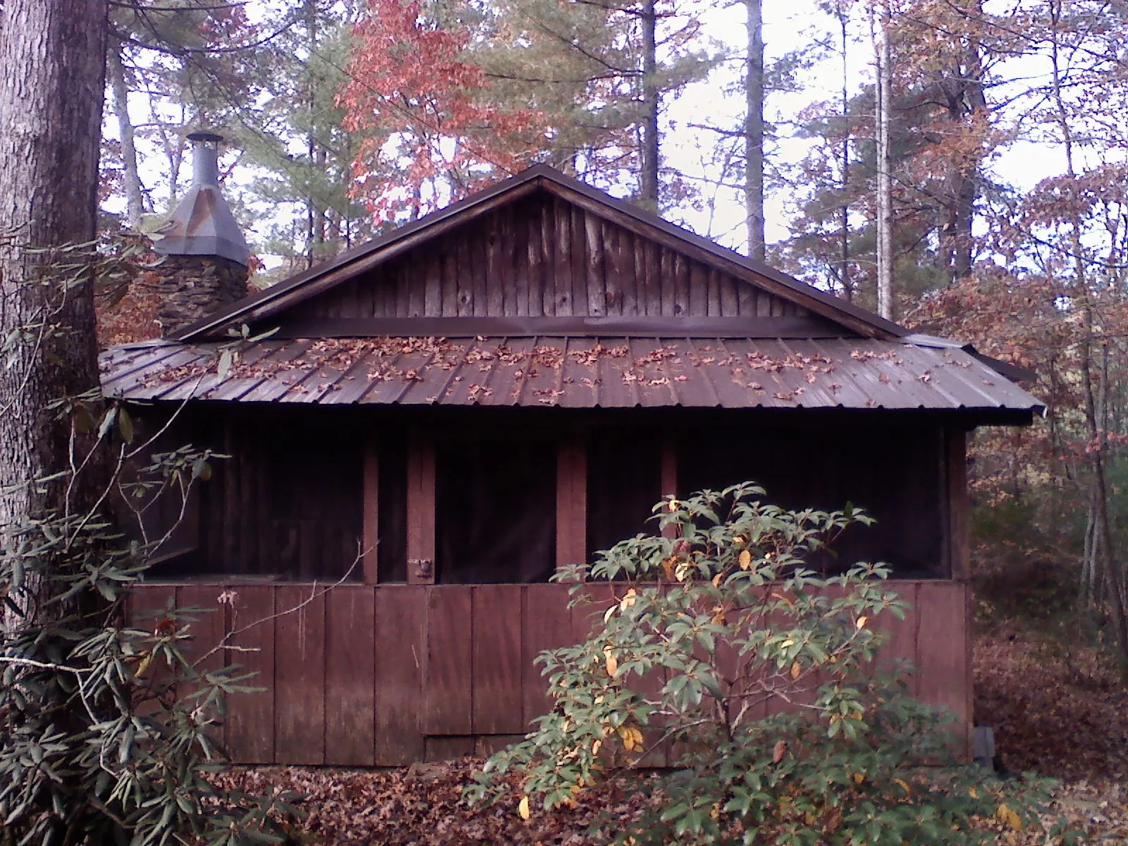 Metal roof over the screened porch of a rustic cabin in Tyrone